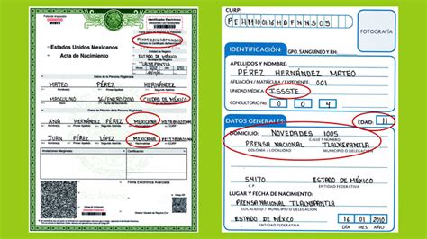 Explorando mi acta de nacimiento y cartilla de vacunación Nueva