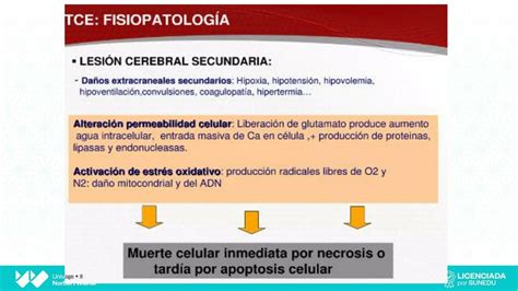 Tce Fisiopatología Erica Af Udocz