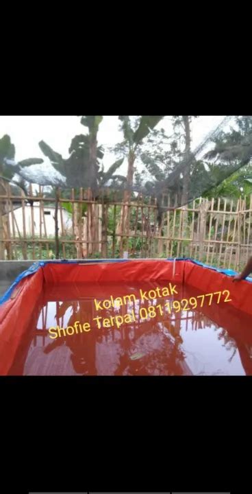 Terpal Kolam Ikan Kwalitas Medium Type A Ukuran P L T Cm