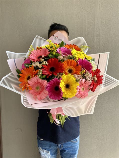 Gerberas