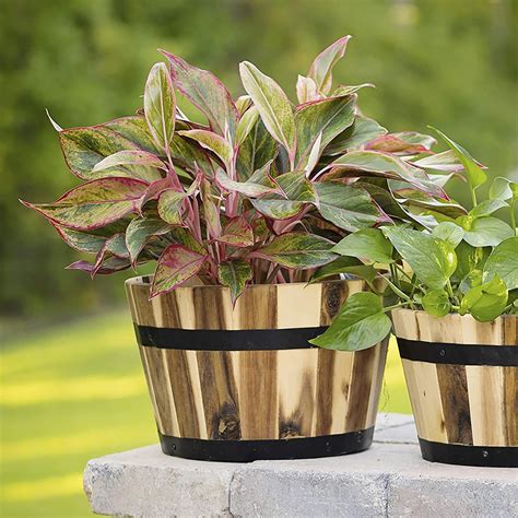 Millwood Pines Wood Pot Planter Wayfair