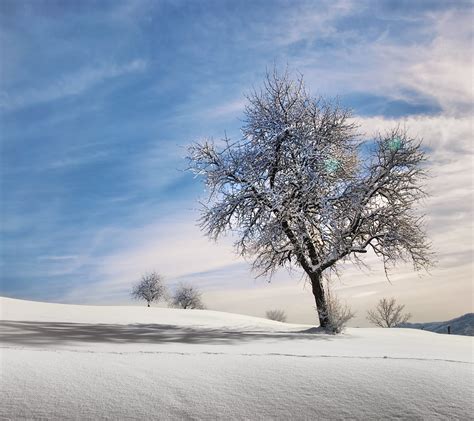 Wallpaper Sunlight Landscape Nature Sky Snow Winter Branch Ice