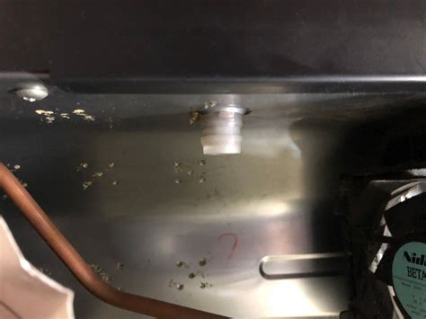 冷蔵庫の水漏れ修理 | nullなnuma