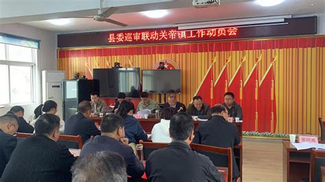 “巡审”联动发力 发挥叠加效应 洋县人民政府