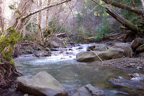 McCoy Creek South Fork Eel River