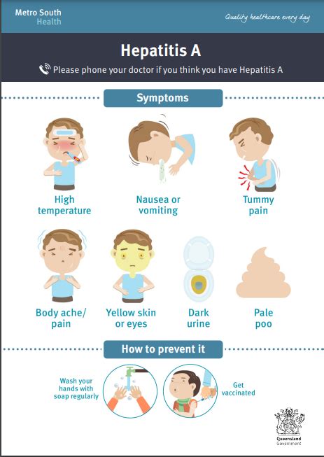 Hepatitis A Symptoms Eccq Ethnic Communities Council Of Queensland