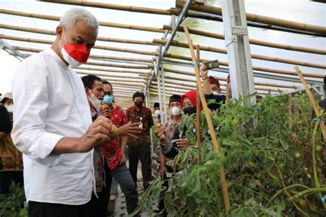 Ganjar Pemprov Berkomitmen Kembangkan Pertanian Organik ANTARA News