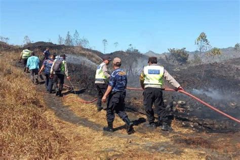 Hektaran Hutan Di Twa Gunung Batur Bukit Payang Terbakar Balipost