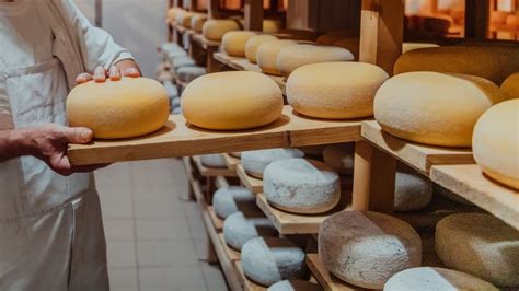 How To Become A Master Cheesemaker