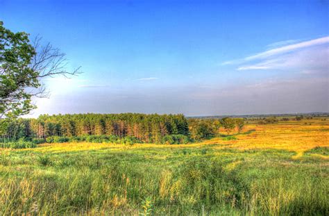 Trees And Fields At Chain O Lakes State Park Illinois Image Free