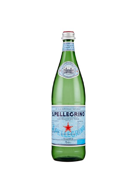 ACQUA SAN PELLEGRINO VETRO 1L FRIZZANTE Acqua Torino