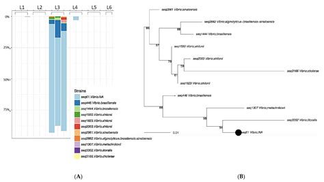 Potential for Microbial Cross Contamination of Laundry from Public