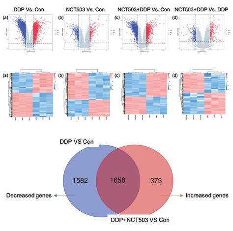 Identification Of Degs In Nct Induced Cisplatin Resistance A