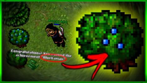 Tibia Como Fazer O Achievement Secreto Bluebarian Em Pouquissimo