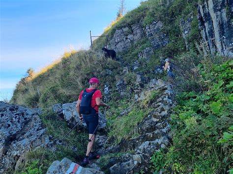 Gartentörli zum Brisi Fotos hikr org