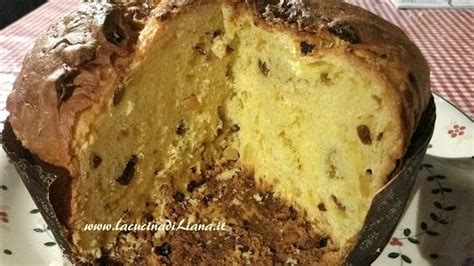 Panettone Morandin Con Licoli La Cucina Di Liana Ricette Panettone