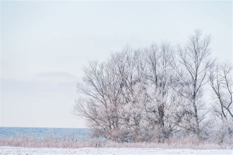 Fondos De Pantalla Paisaje Cielo Nieve Invierno Rama Hielo