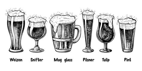 Beer Glass Types. Beer Glasses and Mugs with Names. Vector Illustration ...