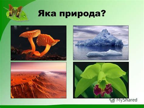 Презентация на тему: "Біологія – наука про живу природу. Основні галузі ...
