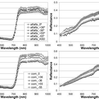 Sample Surface Reflectance Spectra Extracted From The View Angles Of