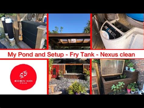 Eden Koi Pond My Own Dream Pond And Filter Setup Koi Fry Update And