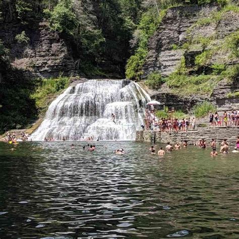 Are Dogs Allowed In New York State Parks