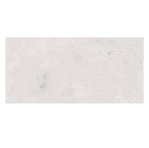 Tesoro Iceberg Series 4x8 Polished Natural Stone Tile