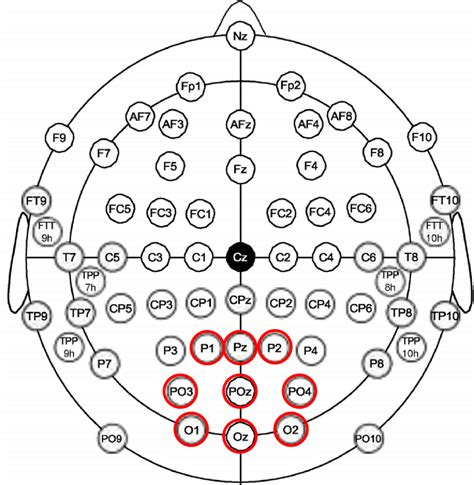 The Position Distribution Of The Selected Electrodes On The Eeg Cap Is