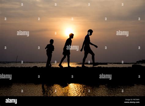 Silhouette group of child walking at sunset on the beach Stock Photo ...