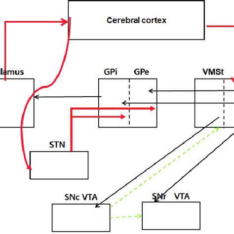 Schematic Diagram Of Cortico Striatal Thalamic Cortical Cstc Tract In