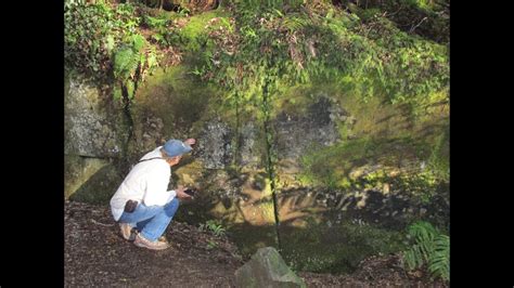 An Ancient Megalithic Wall In New Zealand The Case For Kaimanawa Youtube