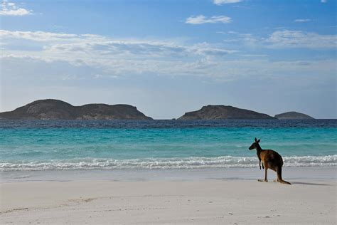 The best things to do on Kangaroo Island | musement