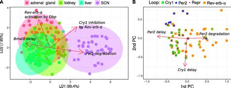 Tissue Specific Models Separated In Parameter Space A Linear