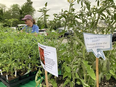 Master Gardener Plant Sale 8th Annual Plant Sale Flickr