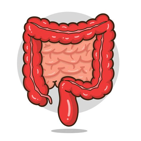 Illustration Of Cartoon Intestines Organ Good For Education Banner