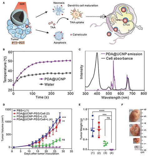 Frontiers Recent Advances On Rare Earth Upconversion Nanomaterials