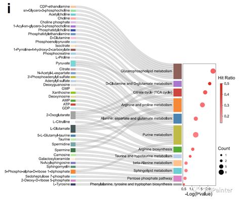 如何绘制桑基气泡组合图富集结果五维度全新展示 ratio count kegg