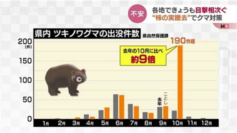 「もう少しでおいしい状態だったのに」急増するクマ出没で住民たちが柿の実の撤去急ぐ 富山 Tbs News Dig