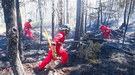 Halifax Area Wildfire 85 Contained And Not Expected To Spread Officials Say The Weather Network