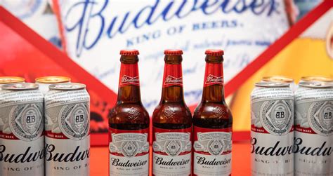 Budweiser Global King Of Beers Price In Rajasthan