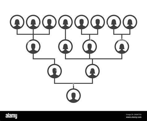 Modello Di Diagramma Genealogico Genealogico O Ancestrale Icone