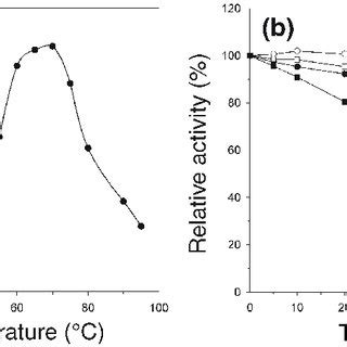 Thermophilicity And Thermostability Of Pyrococcus Horikoshii