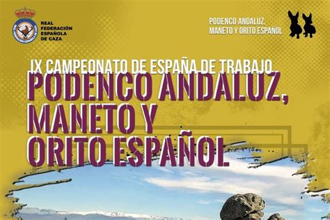 Navalmoral acoge este fin de semana el Campeonato de España de Podenco