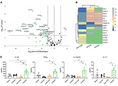 Blockade Of Cd6 Decreases Expression Of Inflammatory Download Scientific Diagram