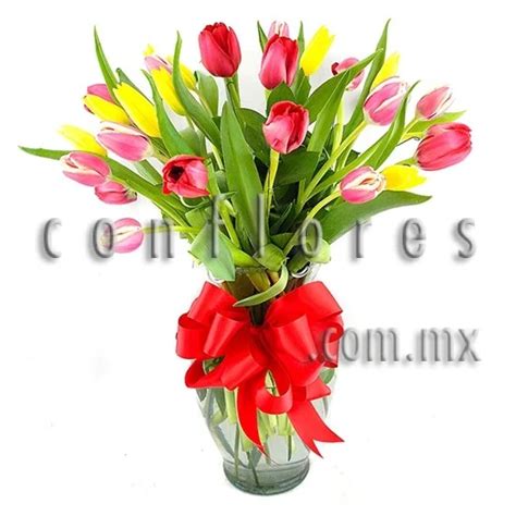 Regala Flores Tulipanes Sentimiento Florería conflores