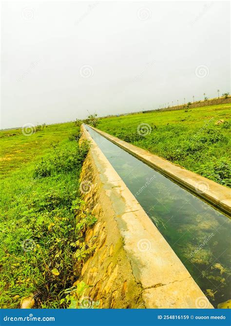 Salalah in Oman, Season of Khareef a View of Green Nature Stock Image ...