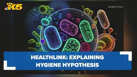 What Is The Hygiene Hypothesis An Explainer Healthlink Youtube