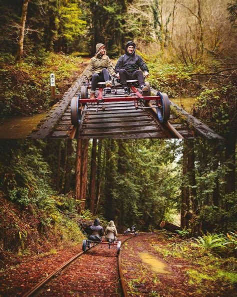 These Rail Bike Tours Let You Pedal Through The Redwood Forest In