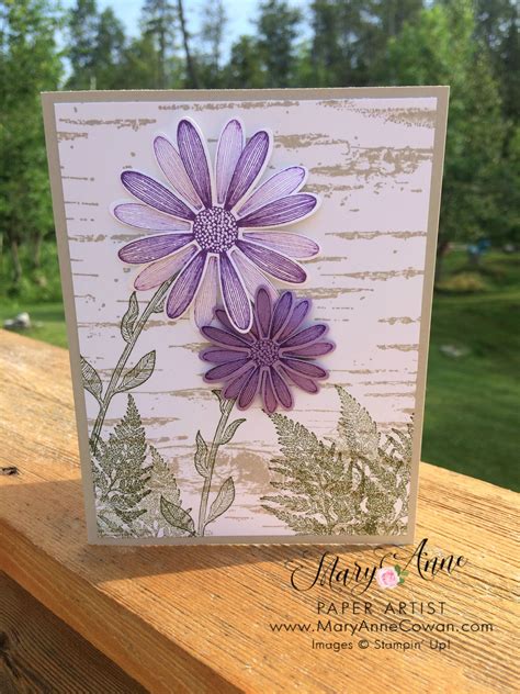 Daisy Lane Stampin Up Daisy Stampin