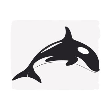 Orca Whale Wall Decal Vector A Simplistic Black Icon Of Killer Whale